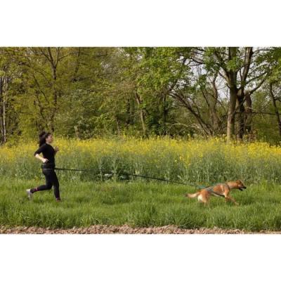 Longe de traction pour chien - CLASSICA - 1.9 m - Chiens jusqu'à 25 kg