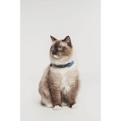 Répulsif ultrason chat TICKLESS MINI CAT - Anti-tiques et puces - Bleu grec