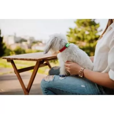 Protégez votre animal avec TICKLESS MINI DOG&CAT - Répulsif ultrason chien - Mentha Green