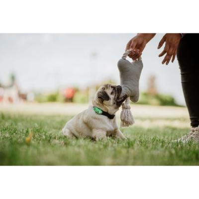 Protégez votre animal avec TICKLESS MINI DOG&CAT - Répulsif ultrason chien - Mentha Green