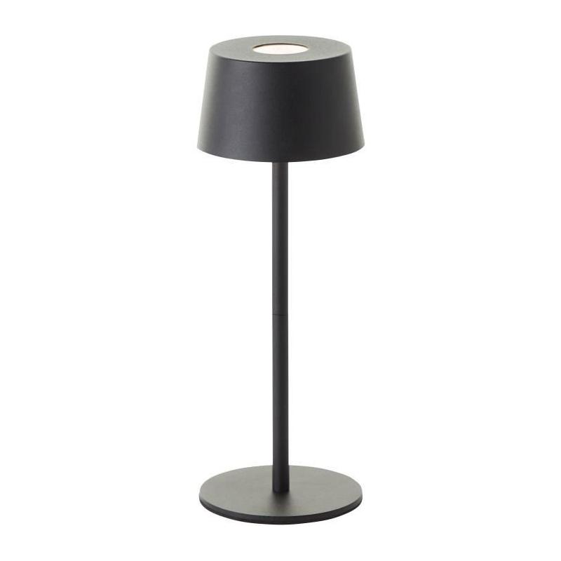 Lampe de jardin élégante - BRILLANT - JONA - LED 2W - Métal - Noir