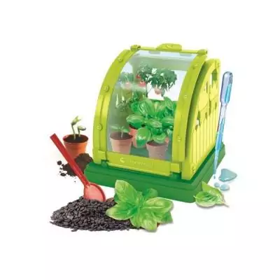 Mini Serre botanique CLEMENTONI - Dimensions compactes 