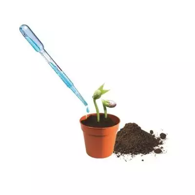 Mini Serre botanique CLEMENTONI - Dimensions compactes 