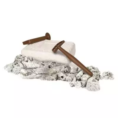 Découvrez le jeu Archéo Ludic Stégosaure CLEMENTONI - CLE EVEIL