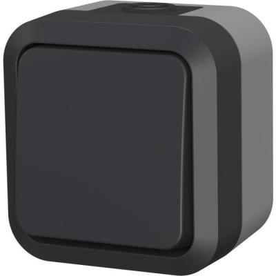 Prise étanche Poussoir QUARX Aqua Pro Extérieur - 250V, 10A, IP55