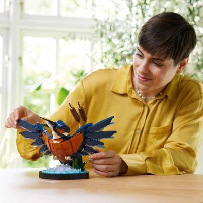 LEGO Icons 10331 Le Martin-pecheur - Maquette pour Adultes, Déco Maison ou Bureau