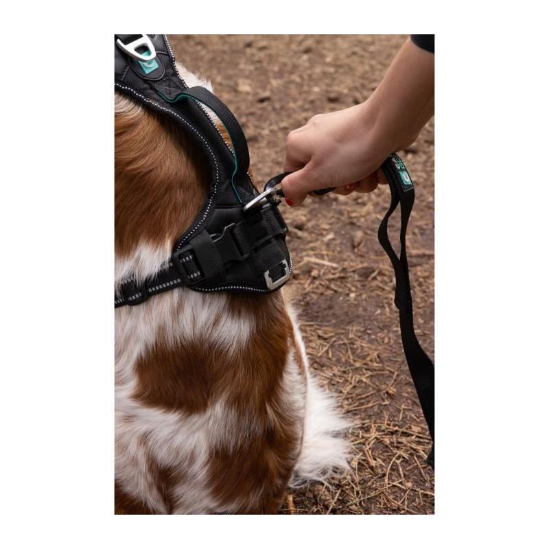 Harnais pour chien SYMBIOZ - Taille S - Design Noir/Bleu