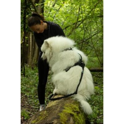 Harnais pour chien SYMBIOZ - Taille S - Design Noir/Bleu
