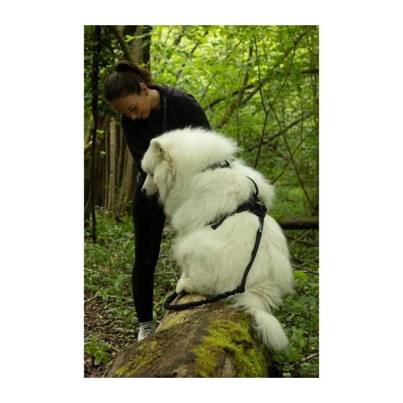 Harnais pour chien SYMBIOZ - Taille S - Design Noir/Bleu