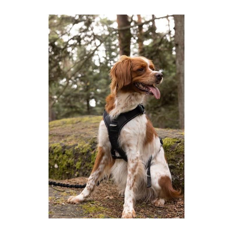 Harnais pour chien SYMBIOZ - Taille S - Design Noir/Bleu
