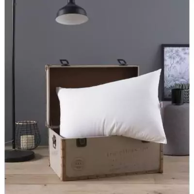 Oreiller Grand luxe Quallofil Allerban 50x70cm - Made in France Oreiller Grand luxe Quallofil Allerban 50x70cm - Made in France