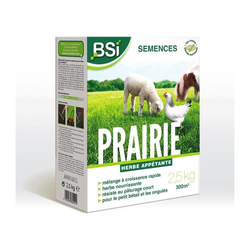BSI - Semences De Gazon Prairie - Haute Qualité - 300m² - 2,5Kg