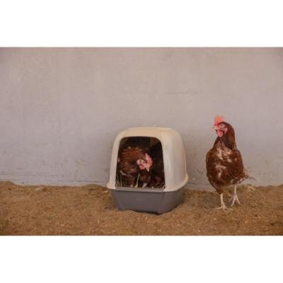 Pondoir pour poules pratique - KERBL - 52 x 39 x 39 cm