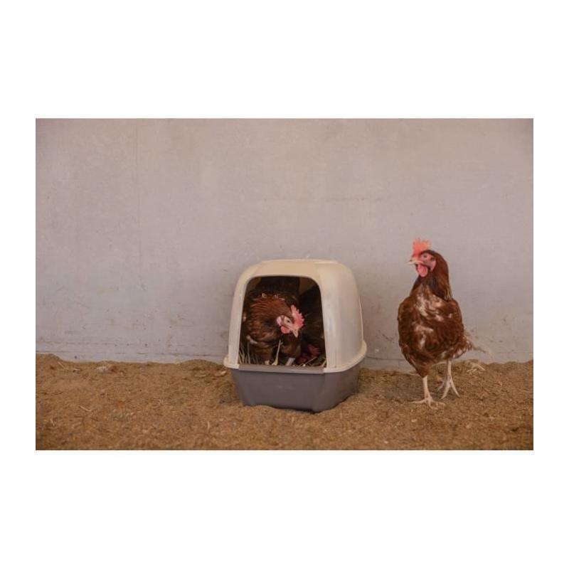 Pondoir pour poules pratique - KERBL - 52 x 39 x 39 cm