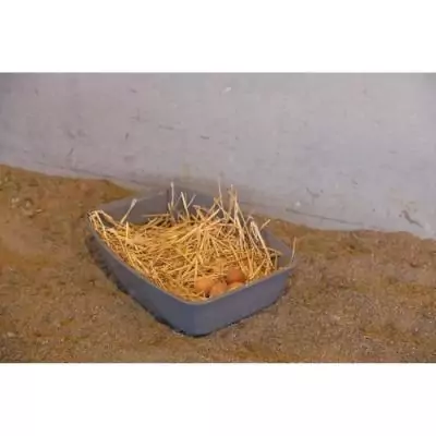 Pondoir pour poules pratique - KERBL - 52 x 39 x 39 cm