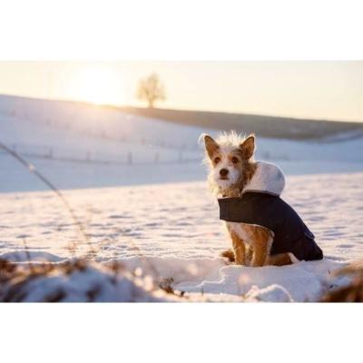 Manteau chaud pour chien Kerbl Teddy - Bleu 48 cm