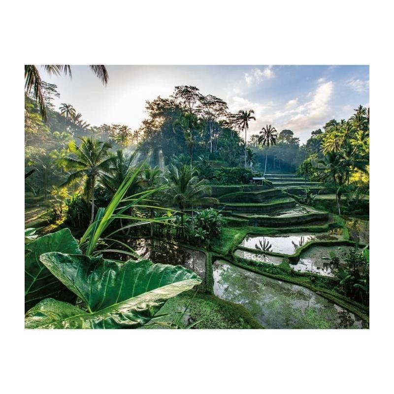 Puzzle 2000 pièces Au coeur de Bali - Collection Évasion