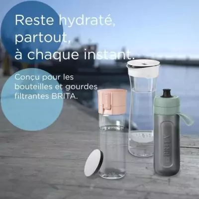 Cartouches filtre à eau Brita pack 6 MicroDisc - Filtre pour carafe filtrante