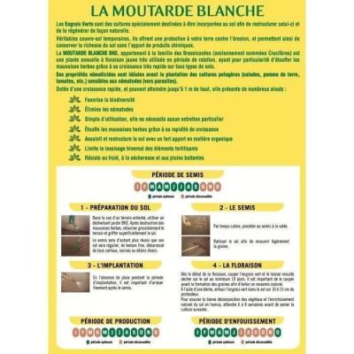 Engrais Verts BHS - Moutarde Blanche 500g | Améliore et désinfecte sols