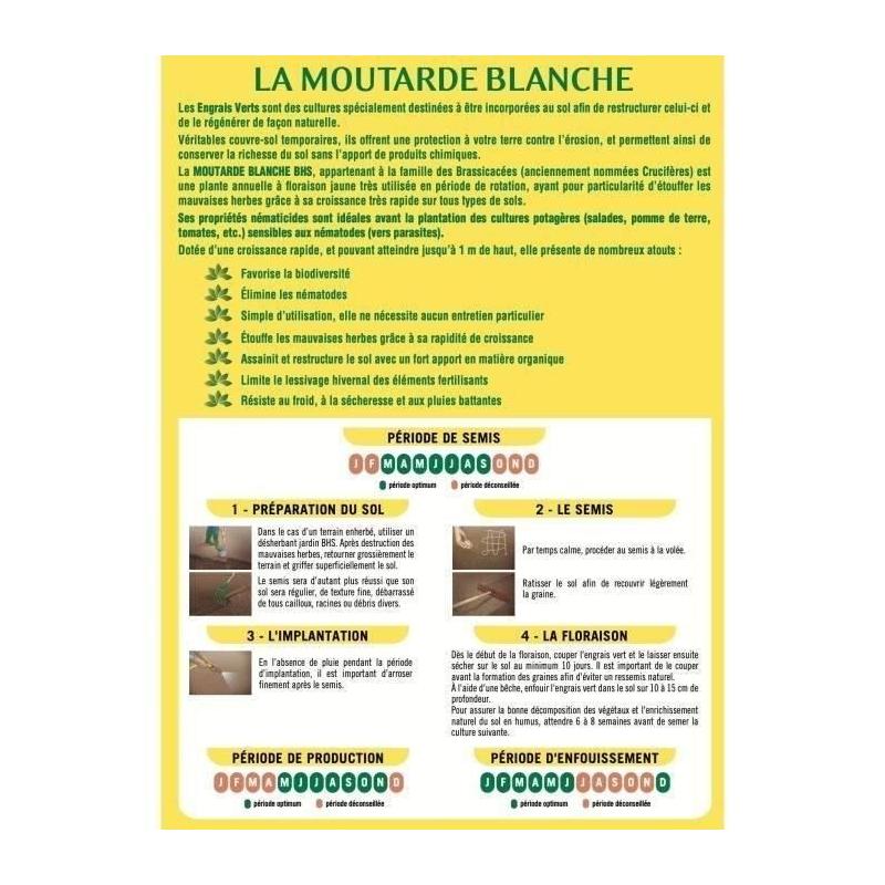 Engrais Verts BHS - Moutarde Blanche 500g | Améliore et désinfecte sols