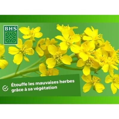 Engrais Verts BHS - Moutarde Blanche 500g | Améliore et désinfecte sols