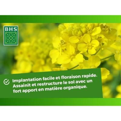 Engrais Verts BHS - Moutarde Blanche 500g | Améliore et désinfecte sols