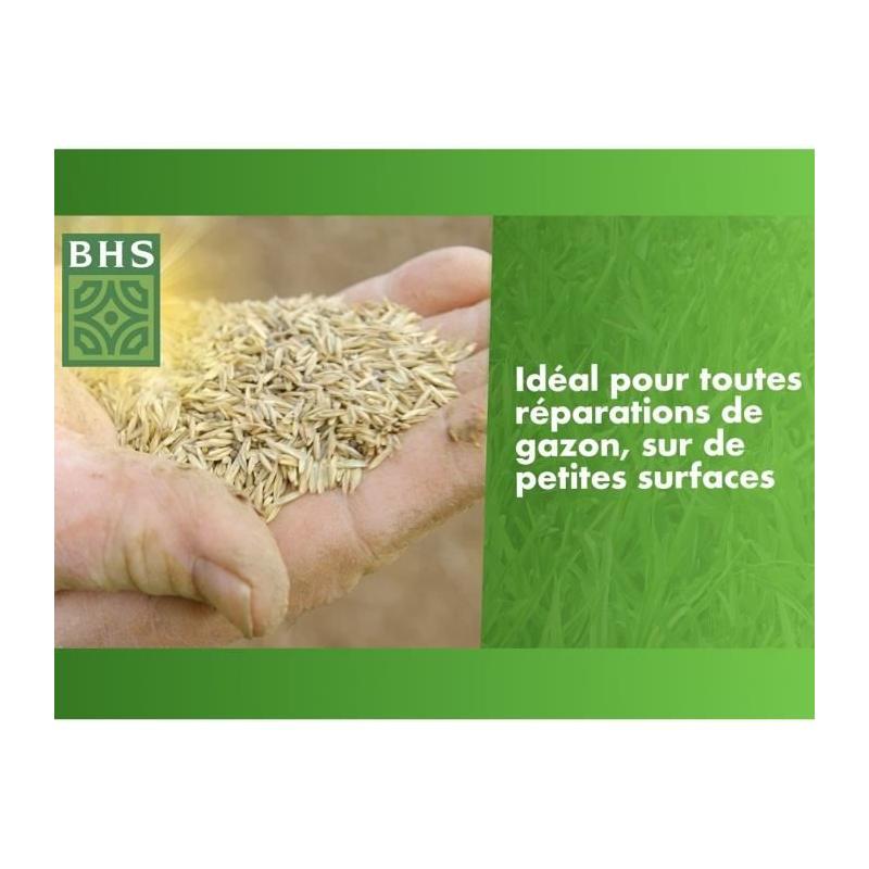 Revitalisez votre pelouse avec Gazon Réparation Top Dress' - BHS - 500g