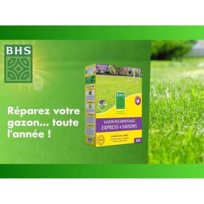 Revitalisez votre pelouse avec Gazon Réparation Top Dress' - BHS - 500g