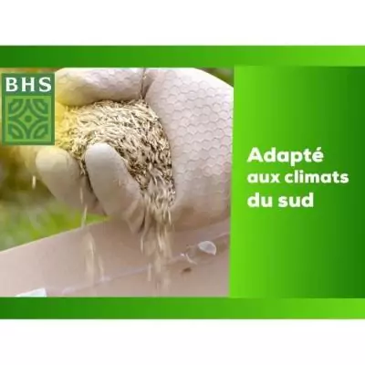 Gazon Rustique Sud - 1kg, Résistant aux conditions sèches