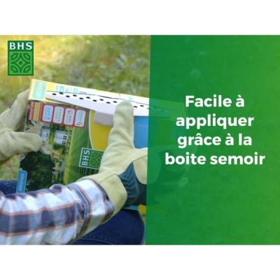 Gazon Ombre BHS 1kg | Résistant aux zones ombragées