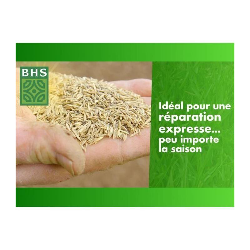 Regarnissez votre pelouse en toutes saisons avec Gazon BHS - 1 Kg