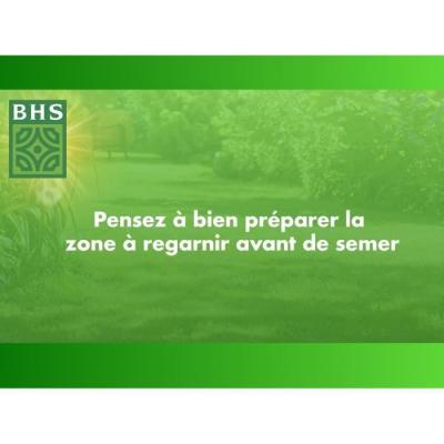 Regarnissez votre pelouse en toutes saisons avec Gazon BHS - 1 Kg