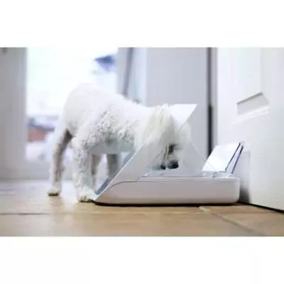 SUREFEED Distributeur de nourriture intelligent - Blanc (27x39x27 cm)