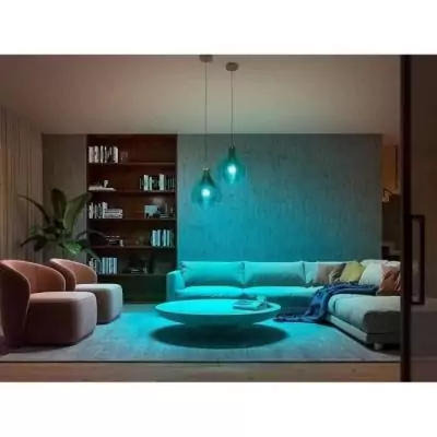 Ampoules connectées Philips Hue pack de 2 - Ambiance White & Color E27