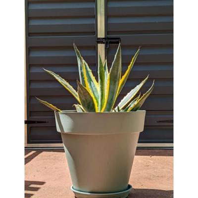 Bac à fleurs rond Riviera Soleilla - Diamètre 50 cm - Vert argile