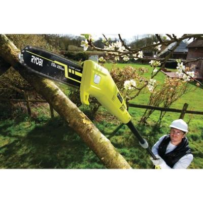 Élagueur sur perche 750W - Guide 25cm - Tube 90cm - RPP755E