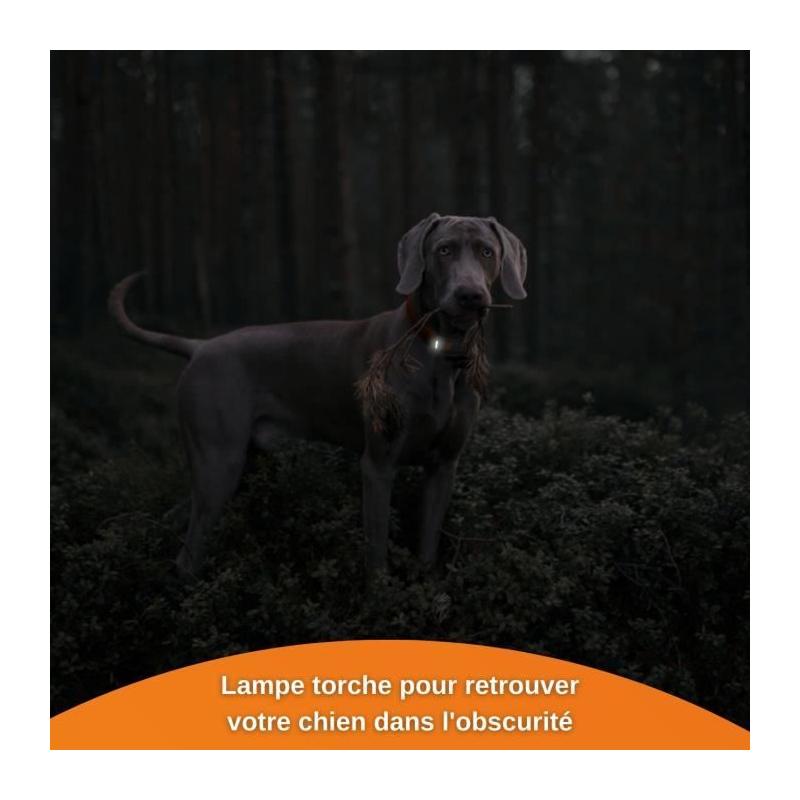 Traceur GPS pour Chien - Weenect XS (Black Edition 2023) - Idéal pour la chasse