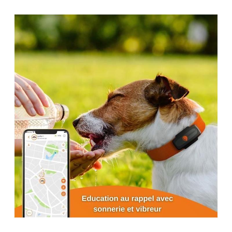 Traceur GPS pour Chien - Weenect XS (Black Edition 2023) - Idéal pour la chasse
