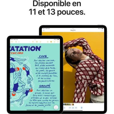 iPad Air M3 (2025) - 11" Wi-Fi + Cellular - 1To - Gris sidéral