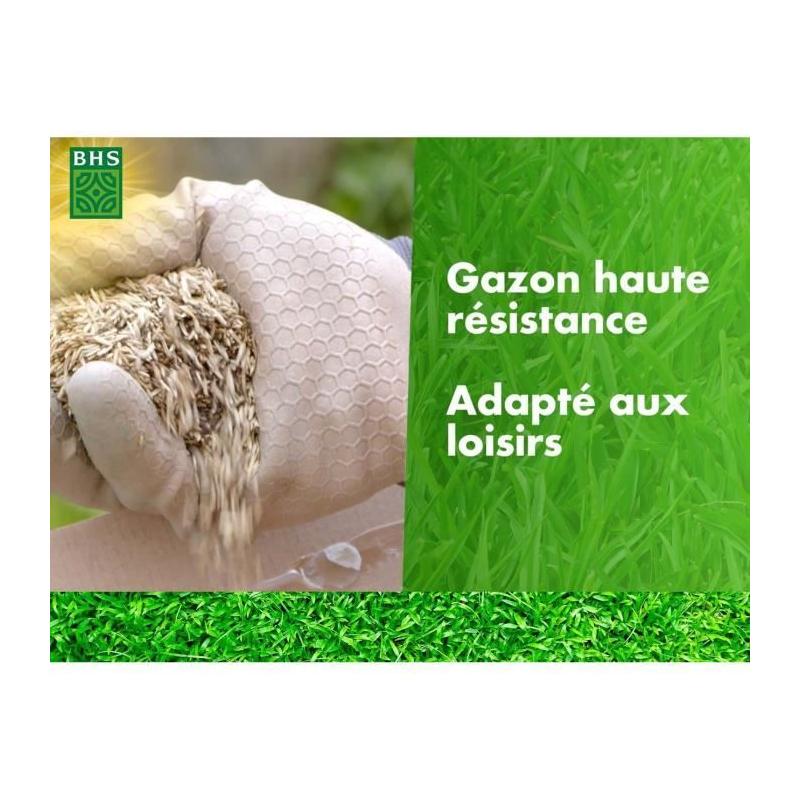 Gazon BHS Haute Résistance 5KG - Idéal pour Usage Intensif