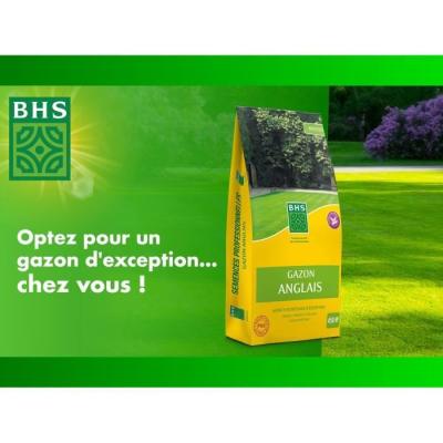 Gazon Anglais BHS 10kg - Pour Jardins Haut de Gamme