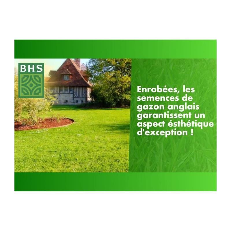 Gazon Anglais BHS 10kg - Pour Jardins Haut de Gamme