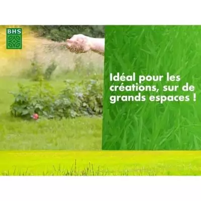 Gazon BHS 1er prix Eco - 10 kg - Qualité à petit prix