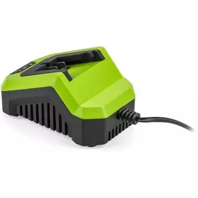 Chargeur FIELDMANN pour batterie 20V - Charge 2Ah rapide