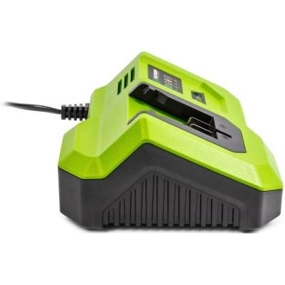 Chargeur rapide FIELDMANN pour batterie 20V - Charge 2Ah en 30 min