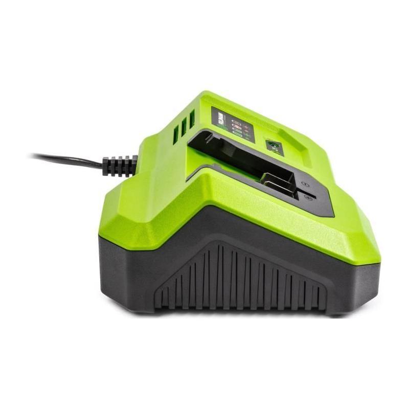 Chargeur rapide FIELDMANN pour batterie 20V - Charge 2Ah en 30 min