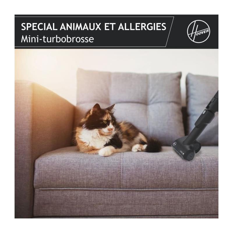 Aspirateur Traineau avec Sac - HOOVER HE530ALG - Spécial animaux et allergies
