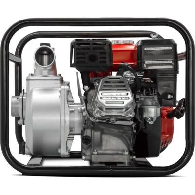 Pompe de surface thermique ELEM - Puissant débit 33000 L/H