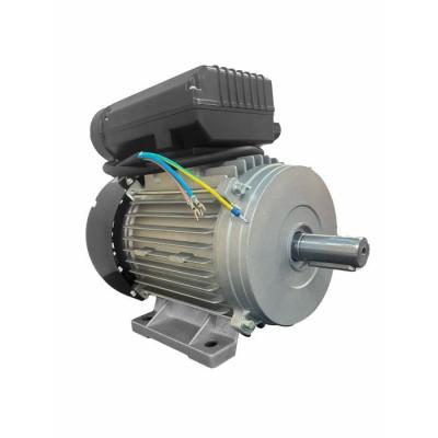 Moteur électrique 3CV/230V avec poulie - DOMAC: Puissance et fiabilité
