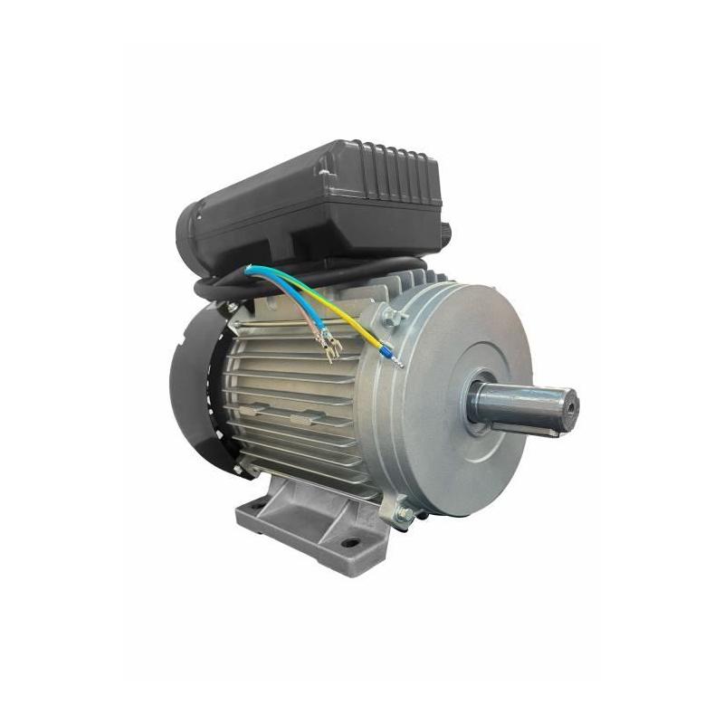 Moteur électrique 3CV/230V avec poulie - DOMAC: Puissance et fiabilité